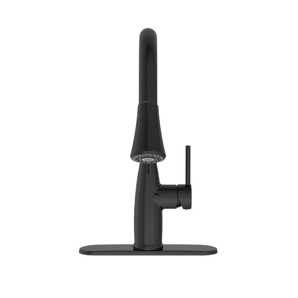 PRIVATE BRAND UNBRANDED Cartway Single-Handle Pull-Down Sprayer Kitchen Faucet in Matte Black D001O