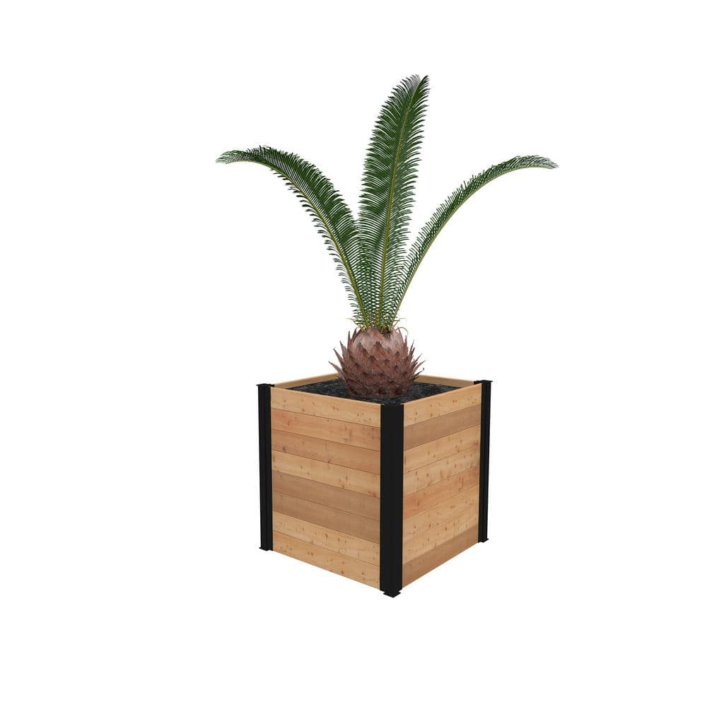 VITA Mezza 22 in. Cedar Wood Cube Planter VT17711