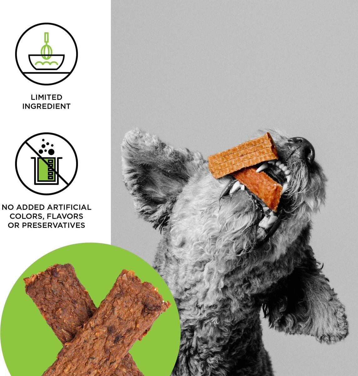 BIXBI Jerky Treats Chicken Recipe Dog Treats