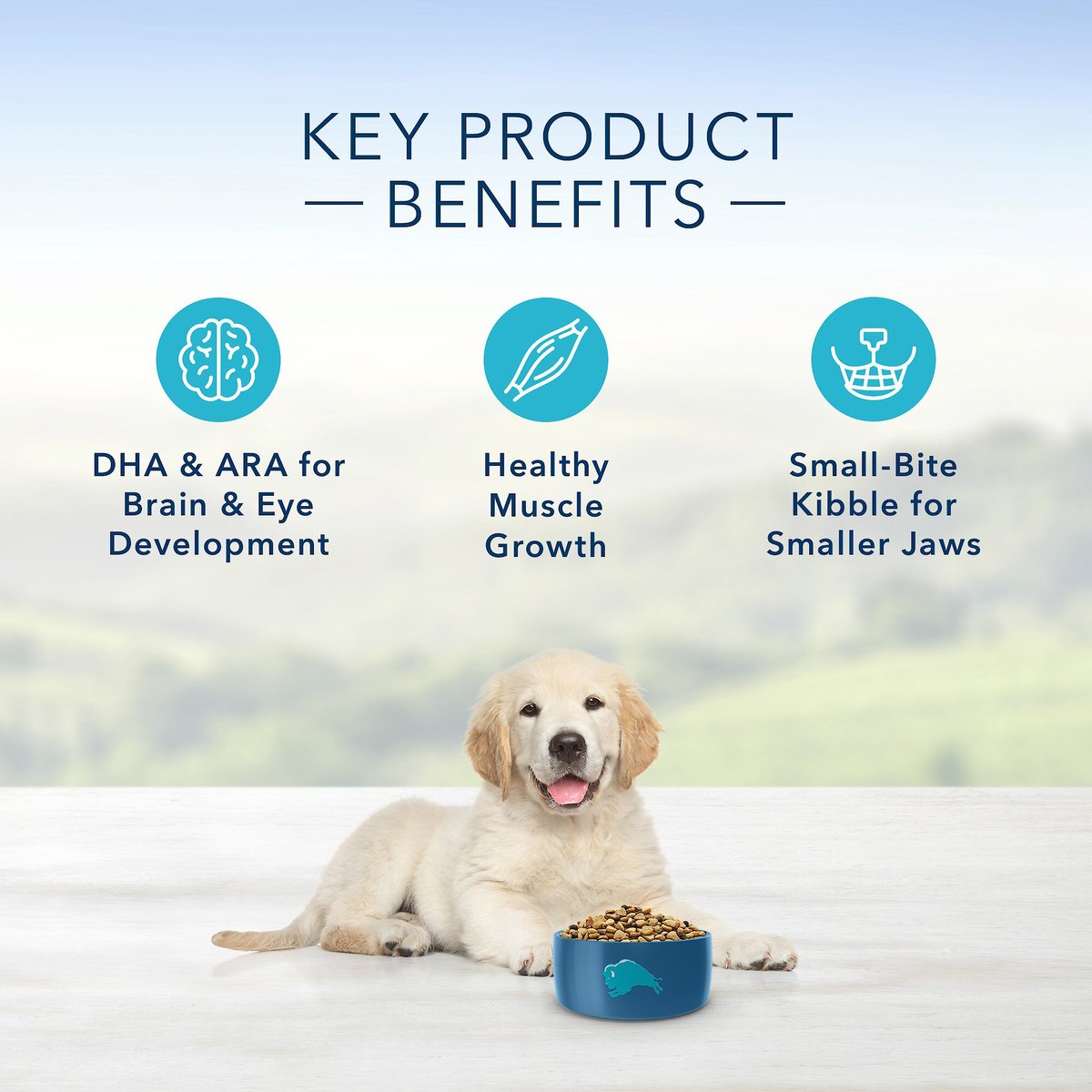 Blue Buffalo Life Protection Formula Puppy Lamb and Oatmeal Recipe Dry Dog Food