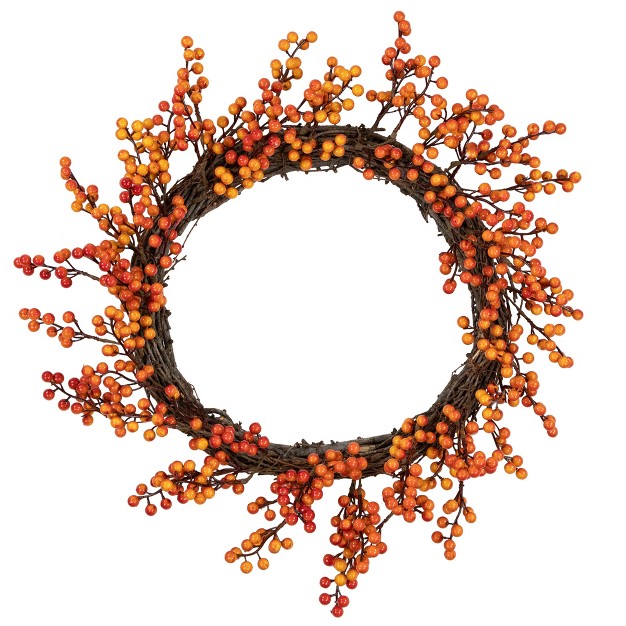 Northlight Red And Orange Artificial Berry Artificial Thanksgiving Wreath 18 inch Unlit