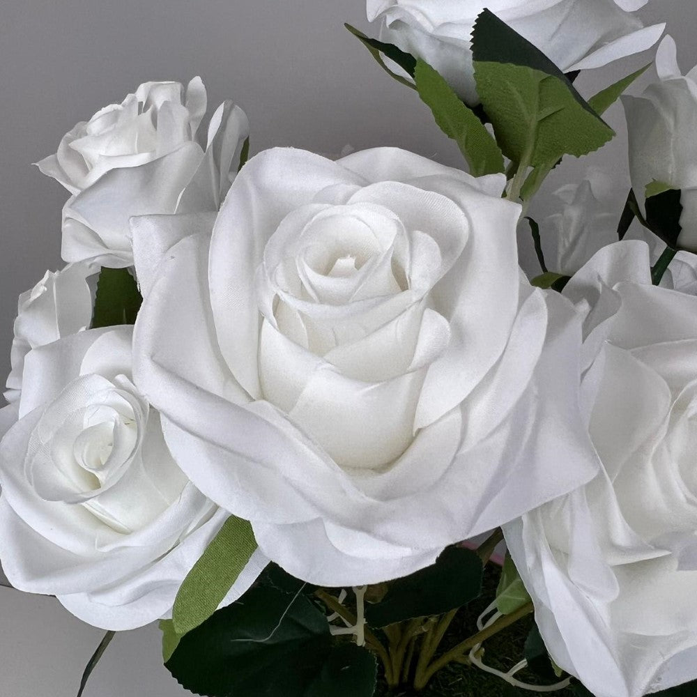 Gorgeous Roses in Ceramic Pot