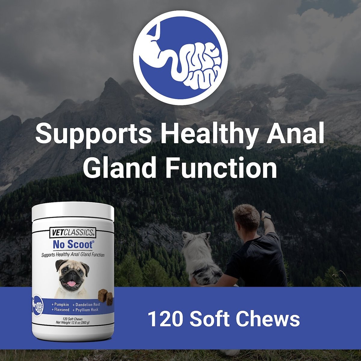 VetClassics No Scoot Anal Gland Function Support Soft Chews Dog Supplement