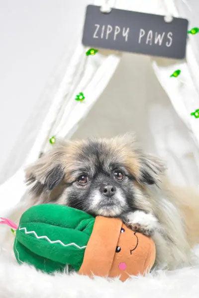 Zippy Paws Fiesta Carmen the Cactus Dog Toy