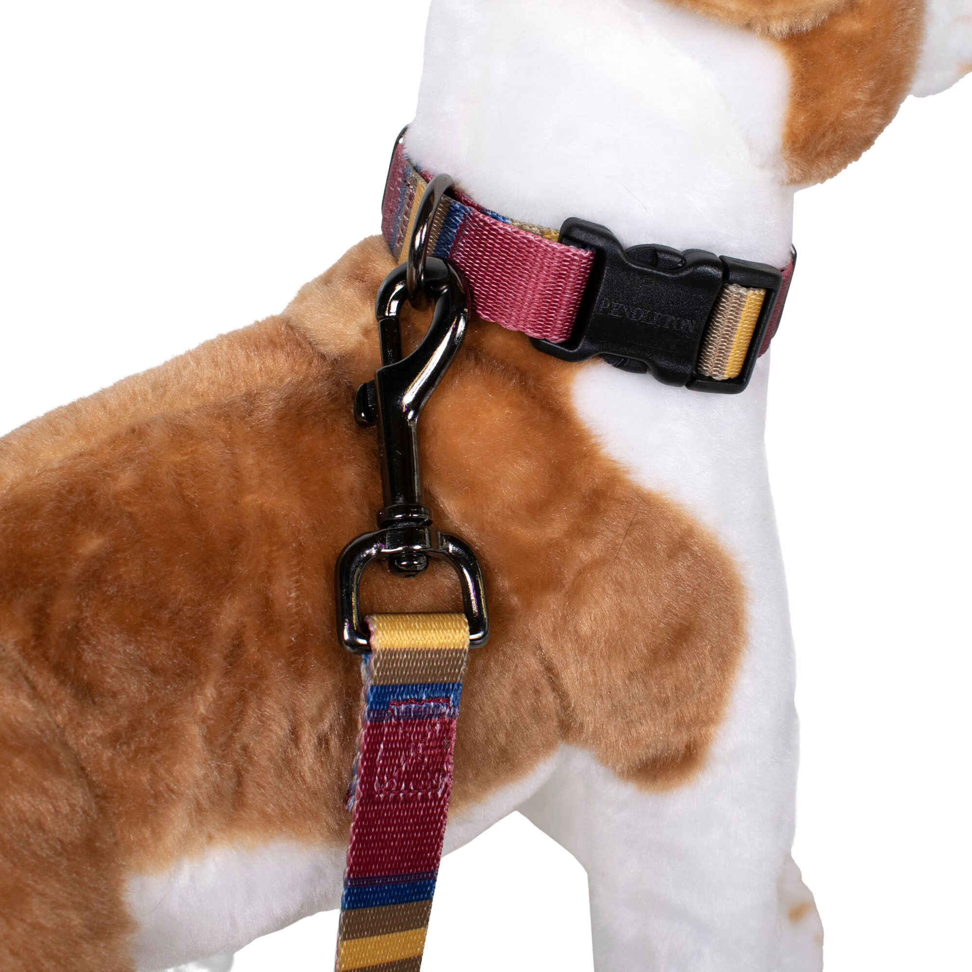 Pendleton Park Adventure Collar | Zion