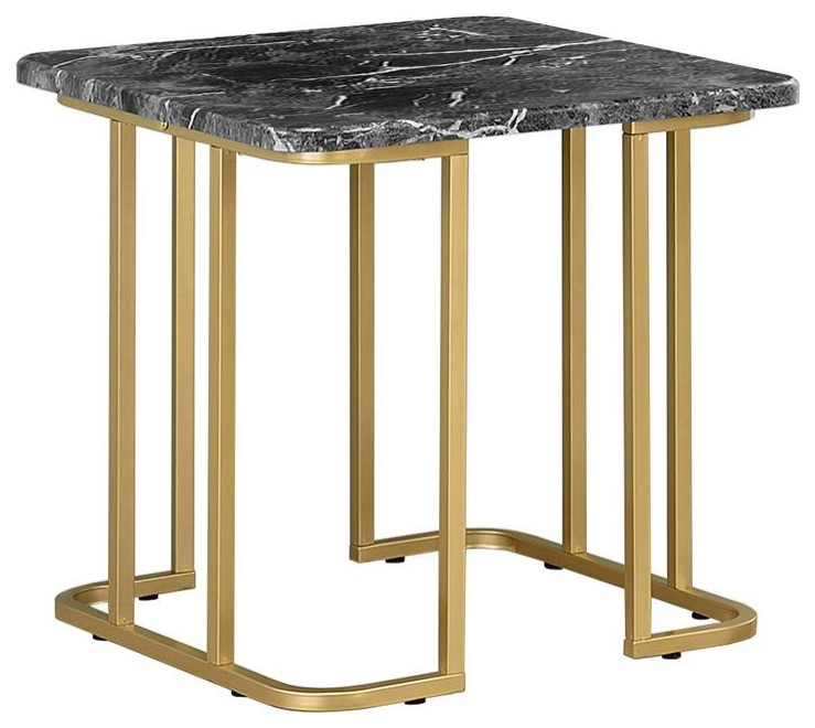 Furniture of America Clotten Contemporary Metal End Table in Black   Contemporary   Coffee Table Sets   by Homesquare  Houzz