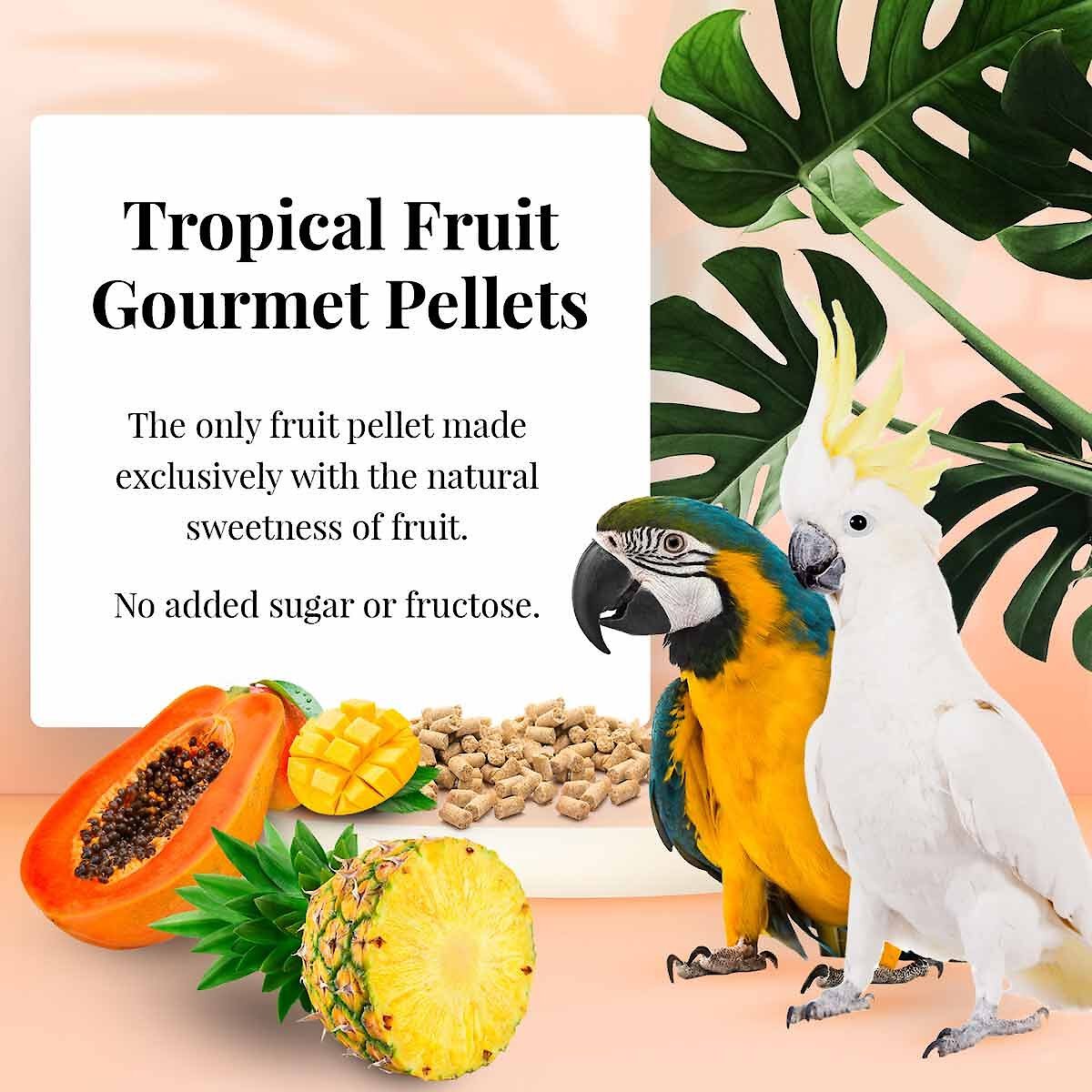 Lafeber Tropical Fruit Gourmet Pellets Macaw Bird Food