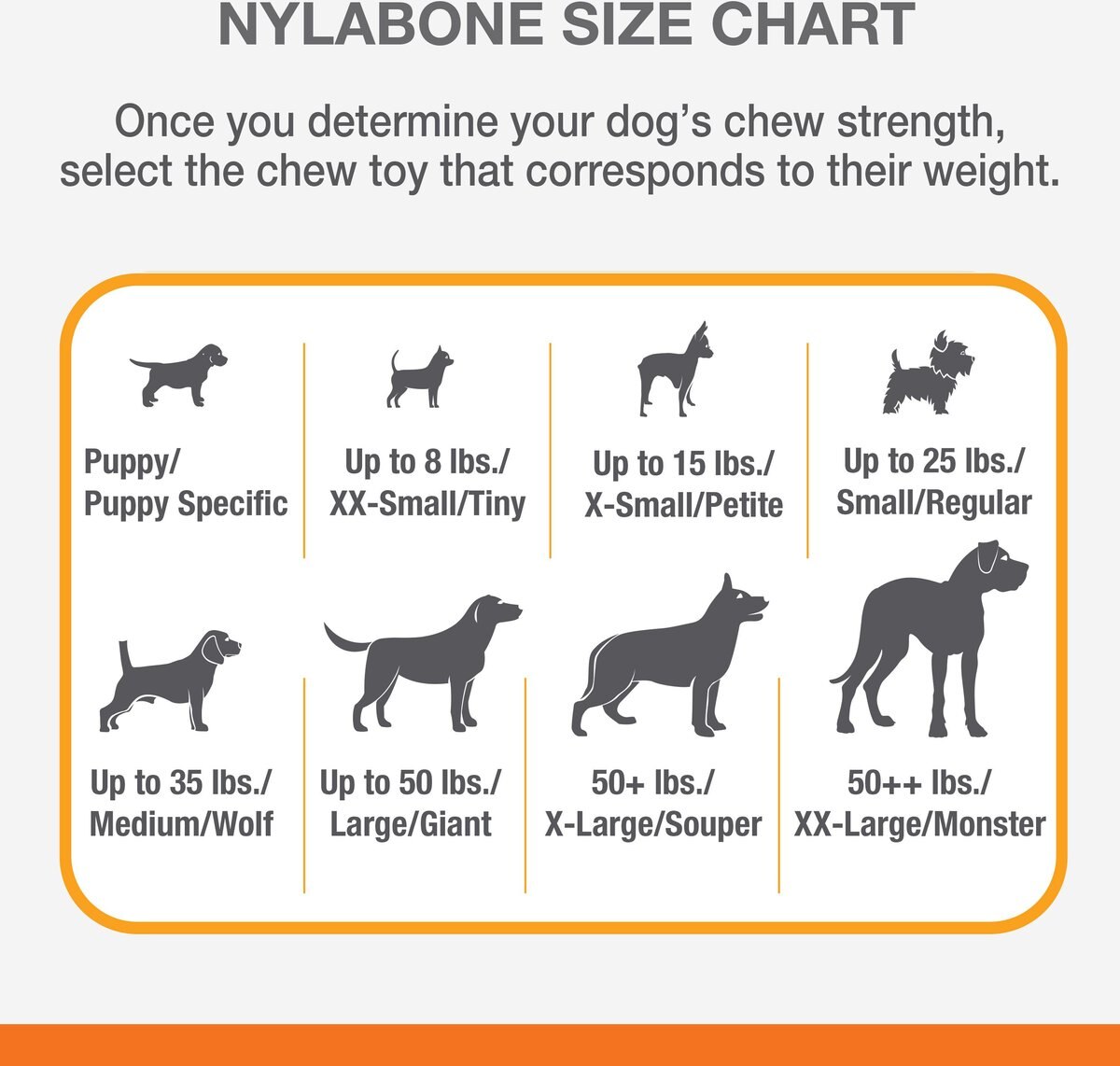 Nylabone Power Chew Beef Jerky Flavored Dog Chew Toy