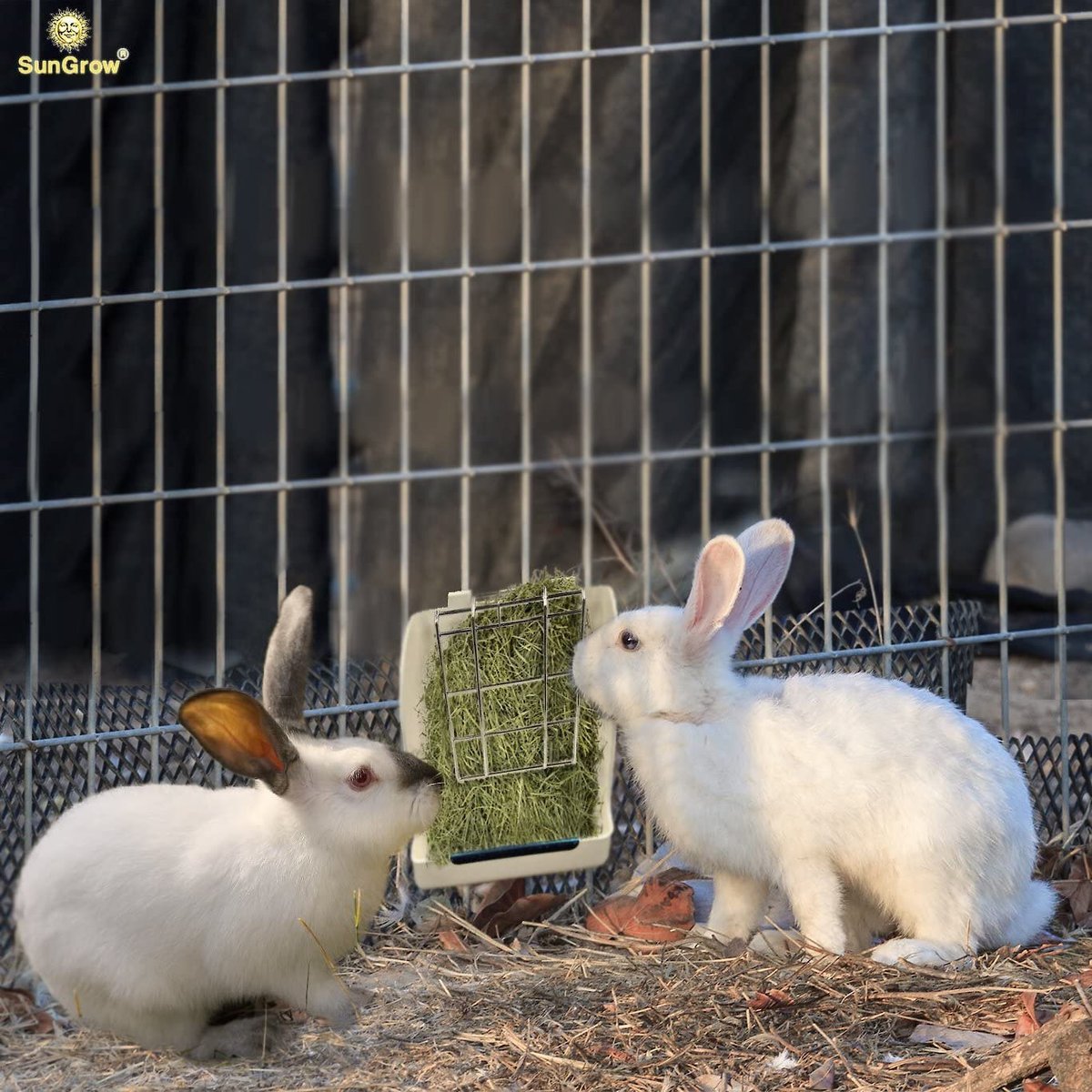 SunGrow Rabbit， Bunny and Guinea Pig Hay Feeder Rack Food Dispenser