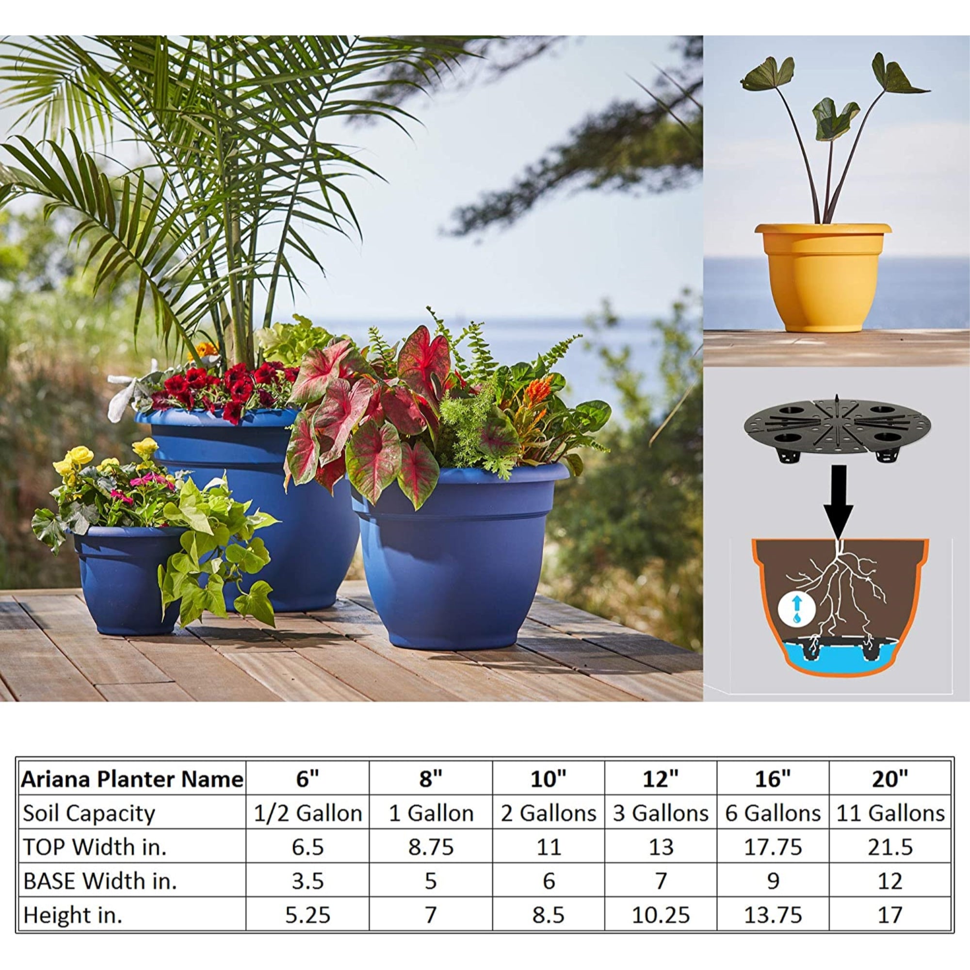 Bloem (#AP0833) Ariana Planter with Self-Watering Disk, Deep Sea Blue - 8