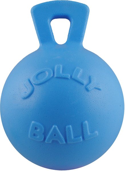 Jolly Pets Tug-n-Toss Dog Toy， Blueberry