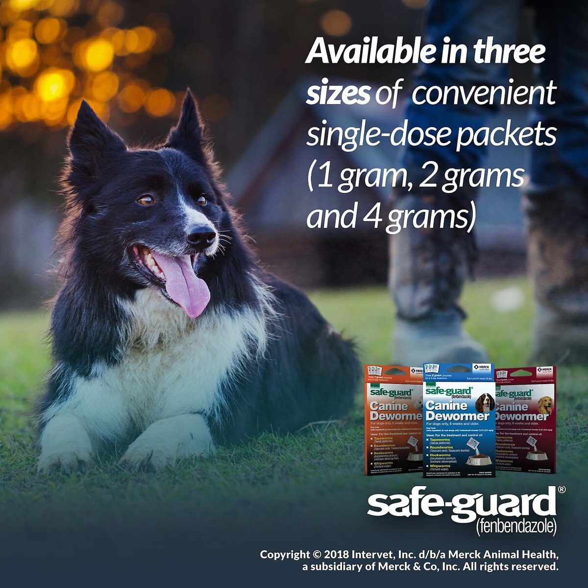 Safe-Guard Dewormer for Hookworms， Roundworms， Tapeworms and Whipworms for Large Breed Dogs