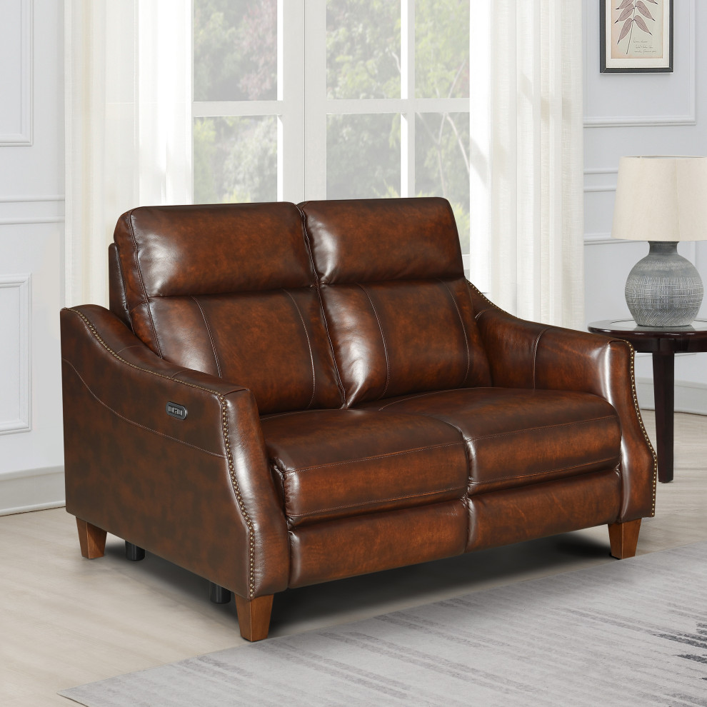 Akari Power Reclining Loveseat   Transitional   Loveseats   by HedgeApple  Houzz