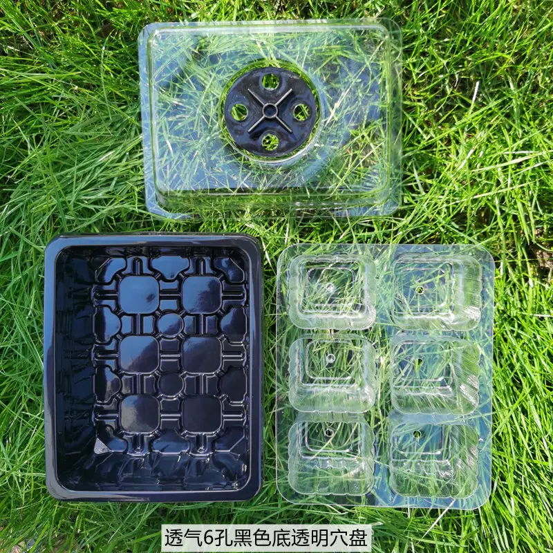 Gardening supplies 6 holes 12 holes with breathable hole seedling box seedling tray