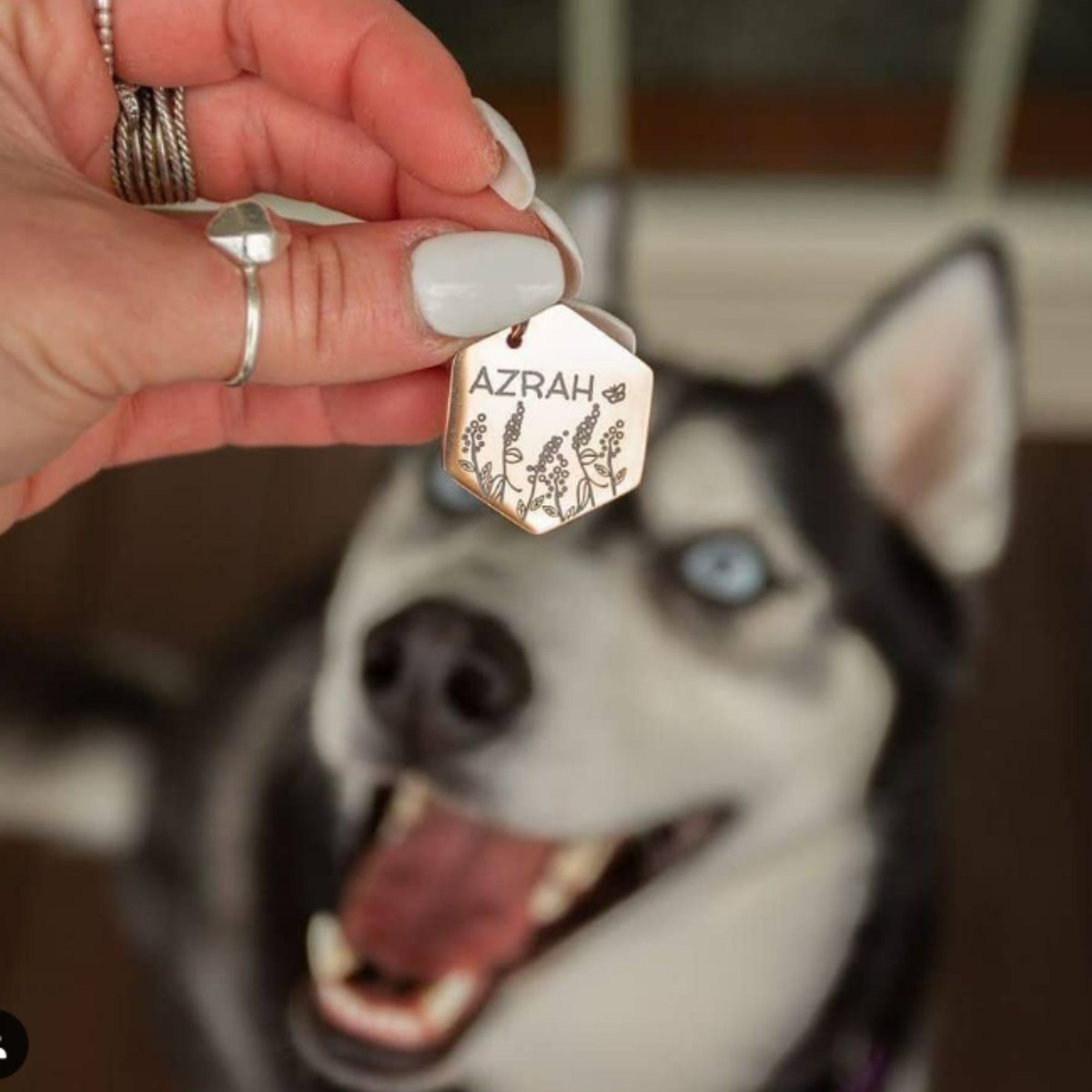 PawFurEver Diamond Personalized Dog ID Tag