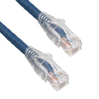 SANOXY 10 ft. Cat6 550 MHz UTP Ethernet Network Patch Cable with Clear Snagless Boot Blue SNX-CBL-LDR-C6117-2010