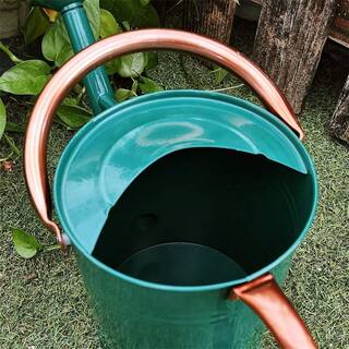 Dyiom 1 gal. Outdoor Steel Watering Can Sliver Galvanized Steel Green Watering Can with Copper Accents B07VX1RZZL