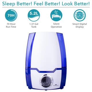 Air Innovations 1.37 Gal. Cool Mist Digital Humidifier for Large Rooms Up to 400 sq. ft HUMID06