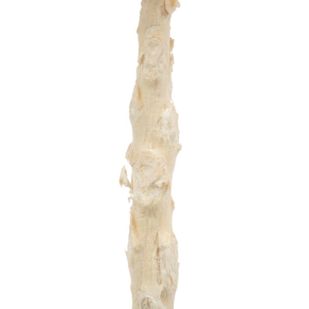 Queen Flower Stem， Dried