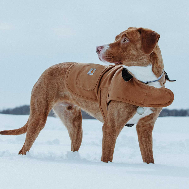 Carhartt Hunting\/Tech Dog Chore Coat