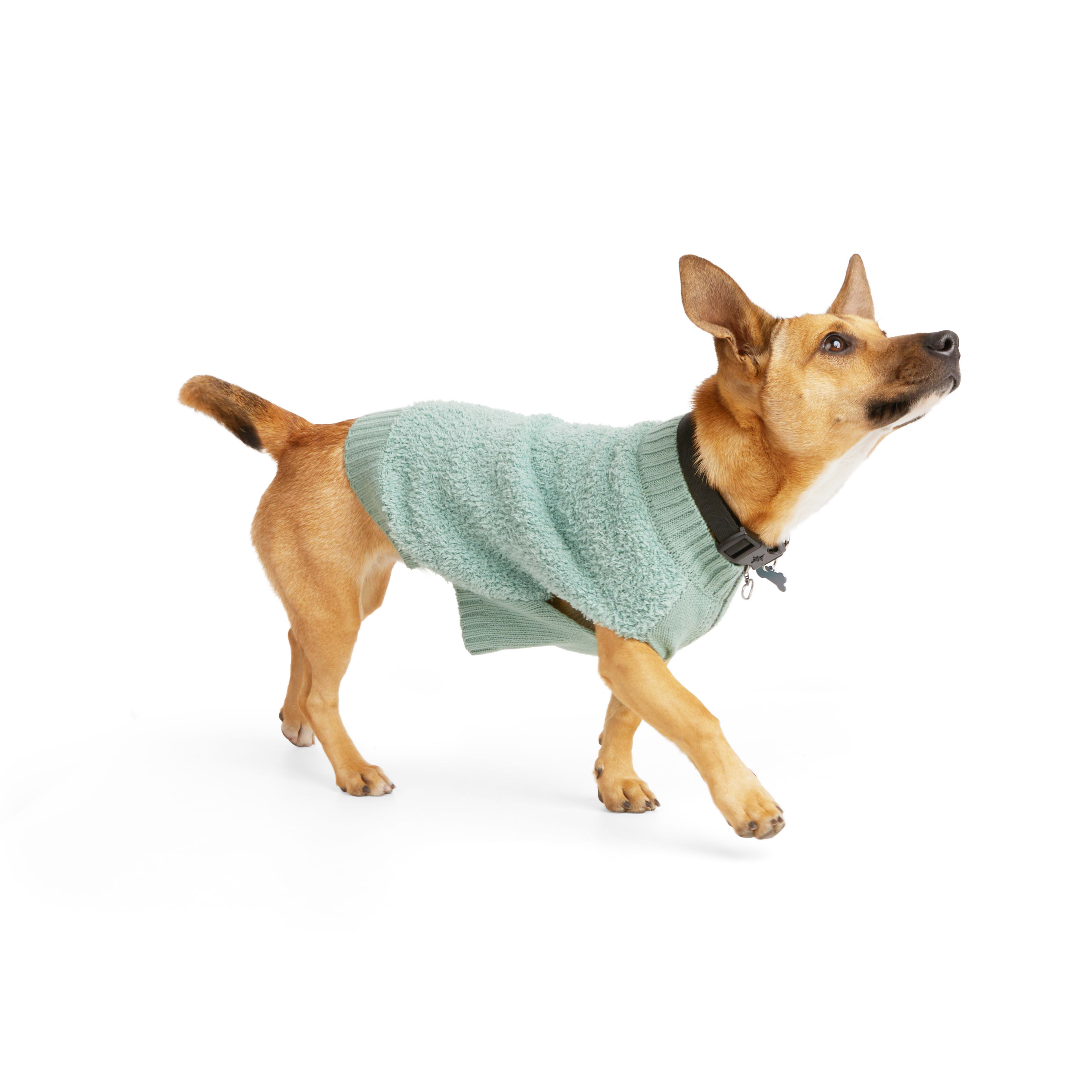 YOULY Sage Fuzzy Dog Sweater， XX-Small