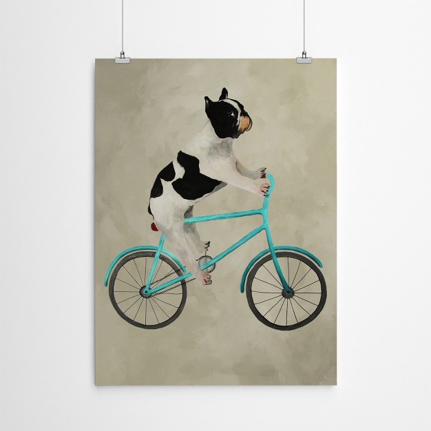 Americanflat Animal Modern French Bulldog On Bicycle By Coco De Paris Poster