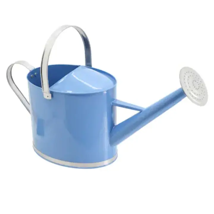 Hot Selling Home Garden Daily Usage Galvanized Water Can Iron Metal Unique Design Custom Shape Watering Can Supply By India