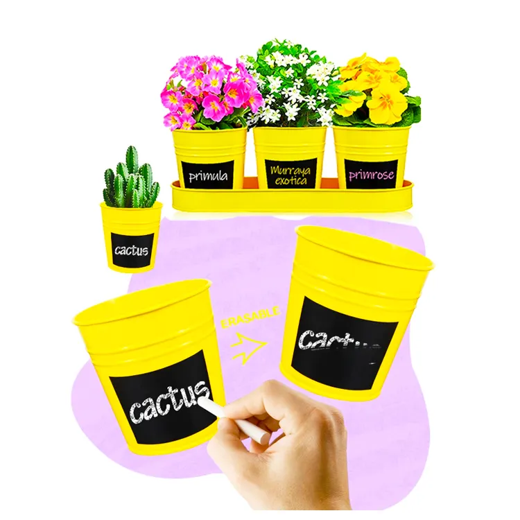 Garden supplies painted color 3PC mini flower pot  planter with metal tray black sticker succulent zinc bucket