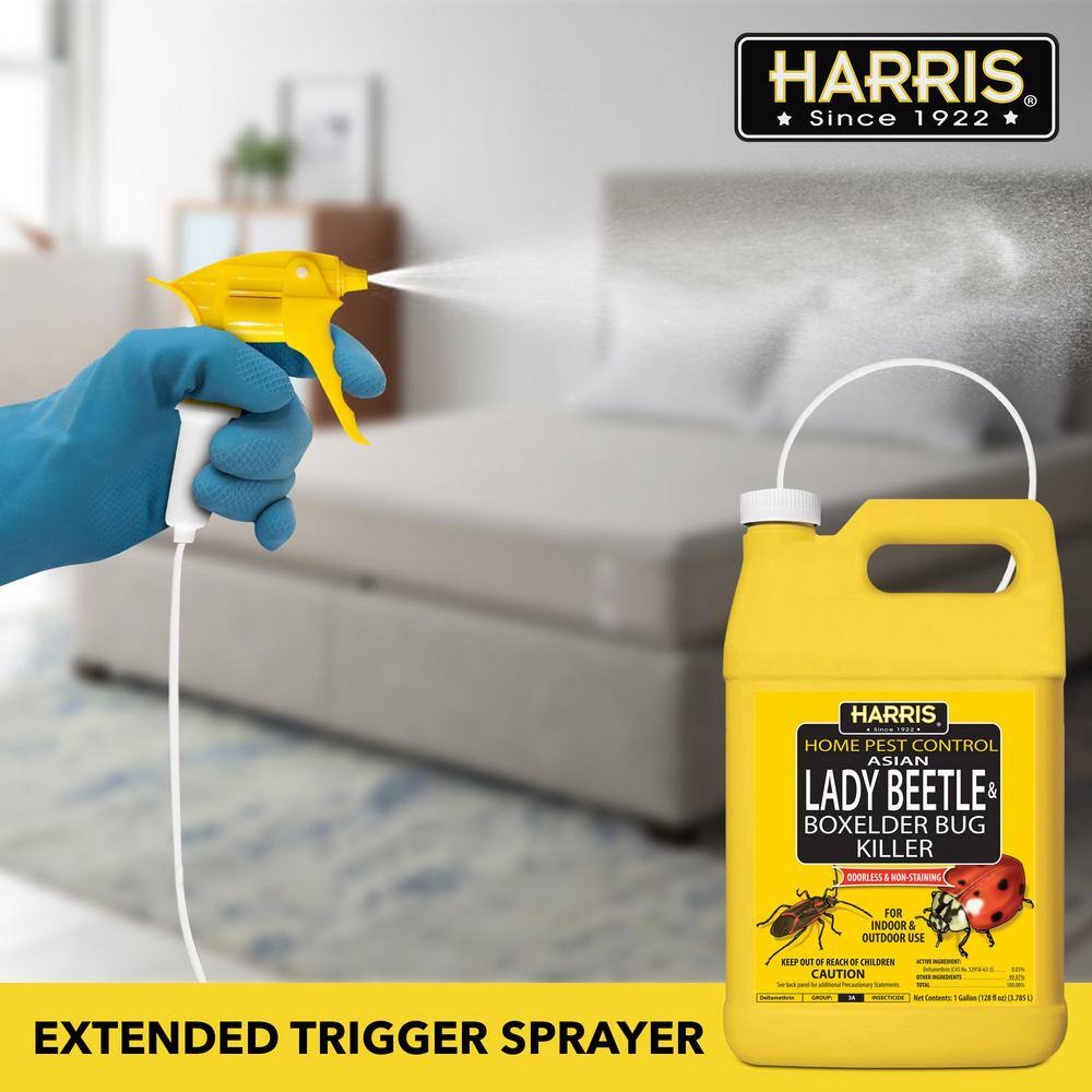 Harris 1 Gal. Asian Lady Beetle and Box-Elder Bug Killer HBXA-128