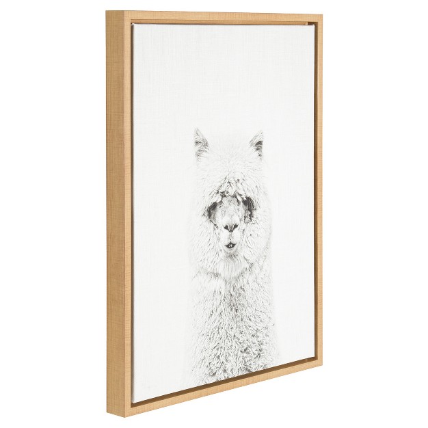 X 18 quot Hairy Alpaca Framed Canvas Art Uniek