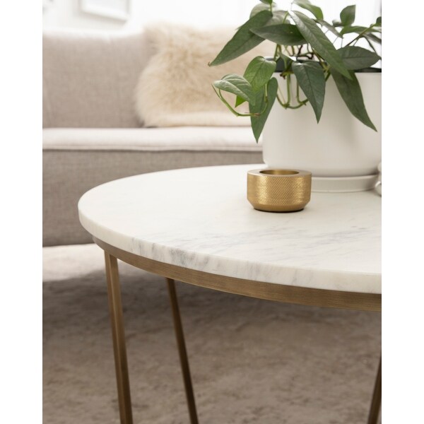 Kate and Laurel Solvay Wood and Metal Coffee Table