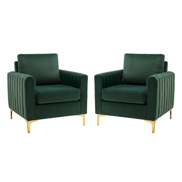 Ganymedes Contemporary Velvet Accent Arm Chair with Golden Legs Set Of 2 by HULALA HOME