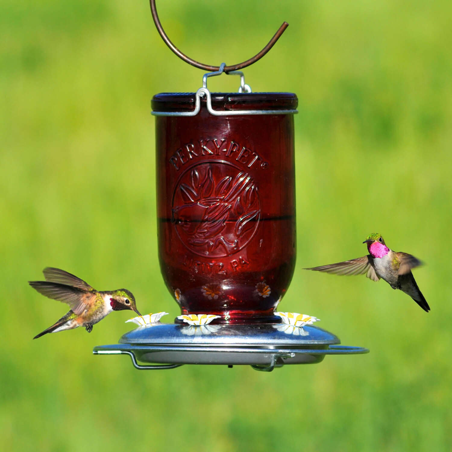 Perky-Pet Hummingbird 32 oz Glass/Metal Mason Jar Nectar Feeder 5 ports