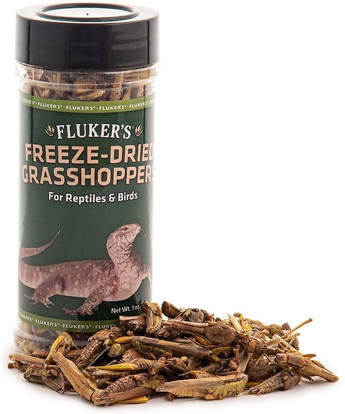 Fluker's Freeze-Dried Grasshoppers Reptile Treats