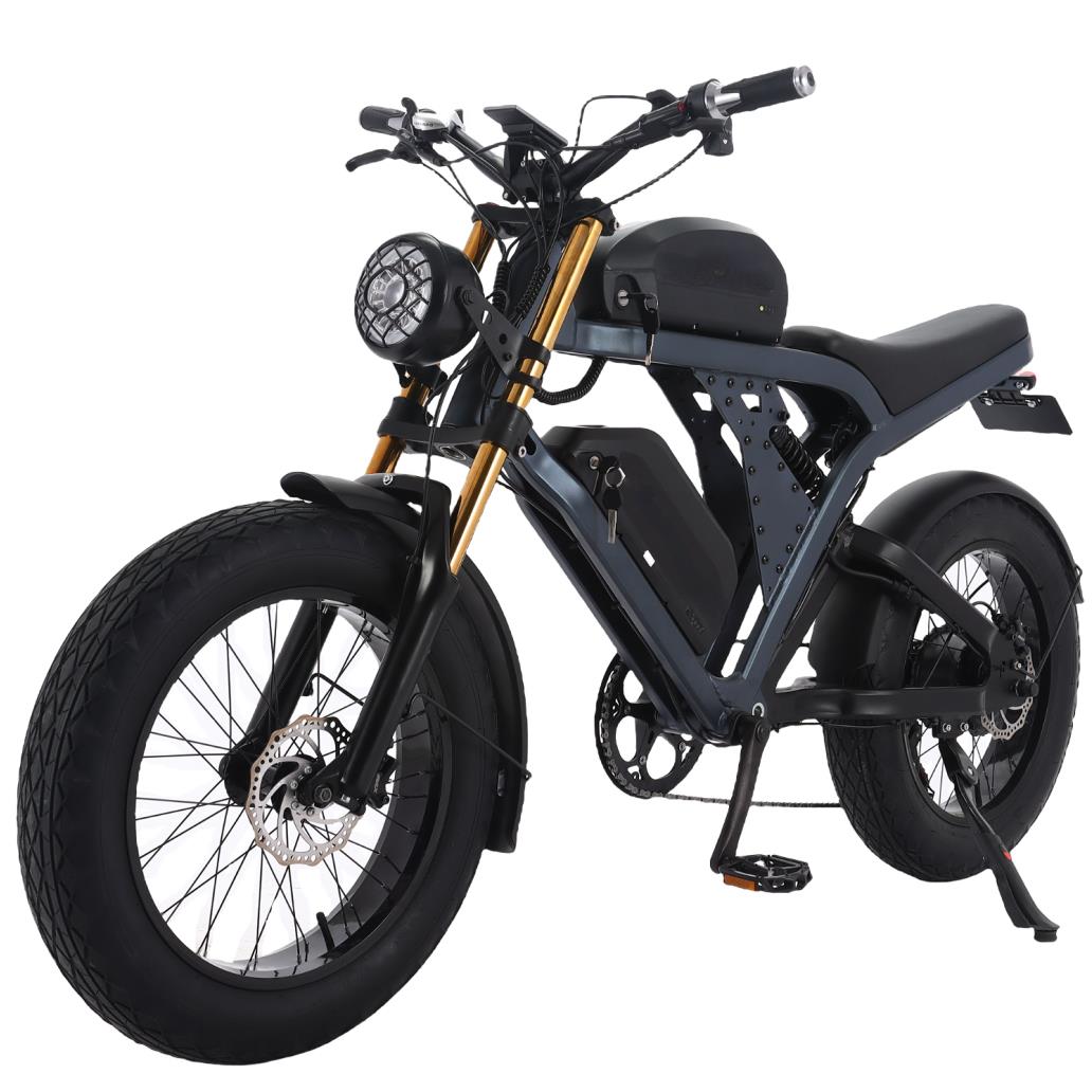 Wholesale new America retro big frame powerful 18/36/40 AH Li on battery cycle electric bike 1500W motor cycle mountain city men