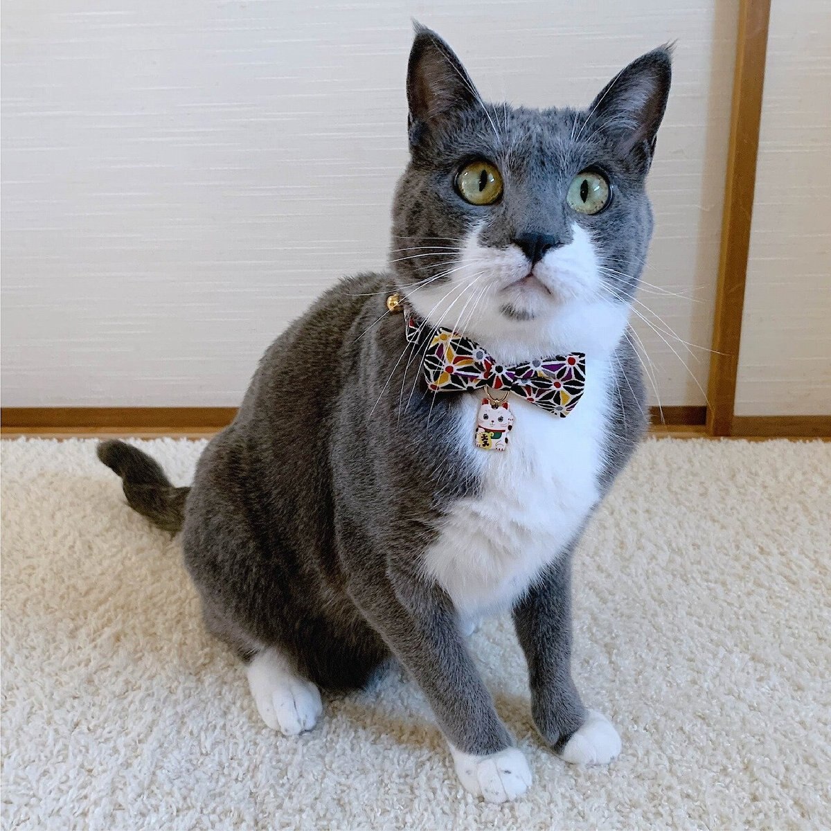 Necoichi Lucky Charm Bow Tie Cotton Breakaway Cat Collar with Bell