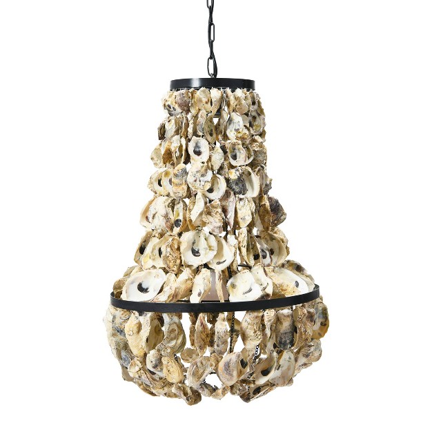 Oyster Shell Chandeiler Storied Home