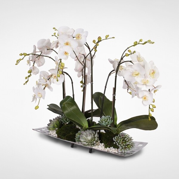 Real Touch White Orchids with Succulents in an Aluminum Tray