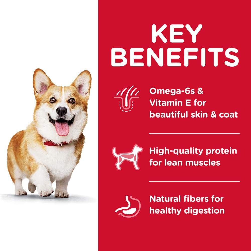 Hill's Science Diet Small Bites Lamb Meal and Brown Rice Recipe Dry Dog