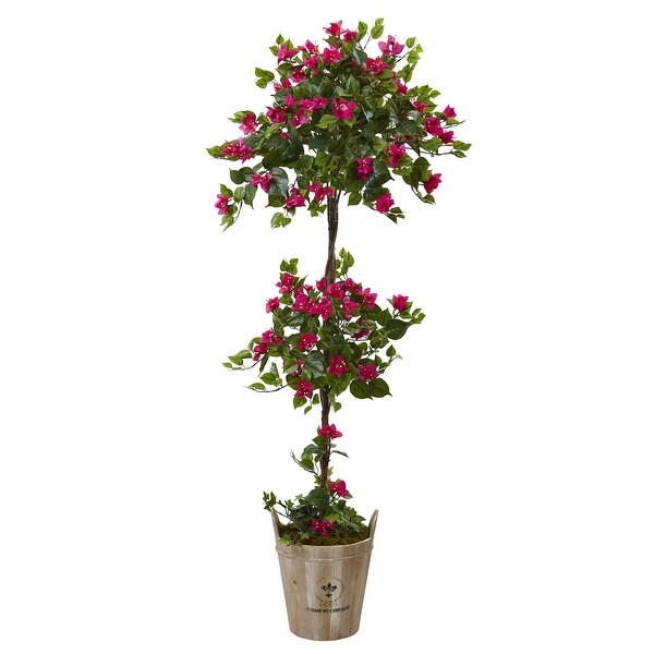 5.5' Bougainvillea Tree with European Barrel Planter