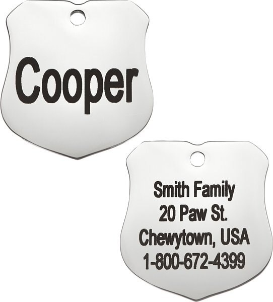 Frisco Stainless Steel Personalized Dog and Cat ID Tag， Badge