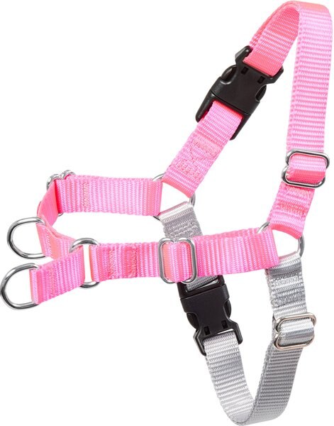 Frisco Basic No Pull Harness