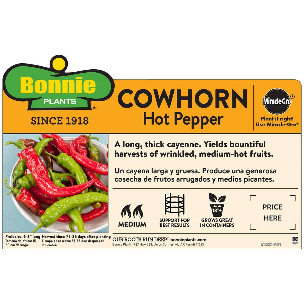 Bonnie Plants 19 oz. Cowhorn Hot Pepper Plant 2700