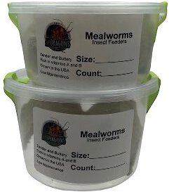 ABDragons Medium Mealworms Small Pet and Reptile Food