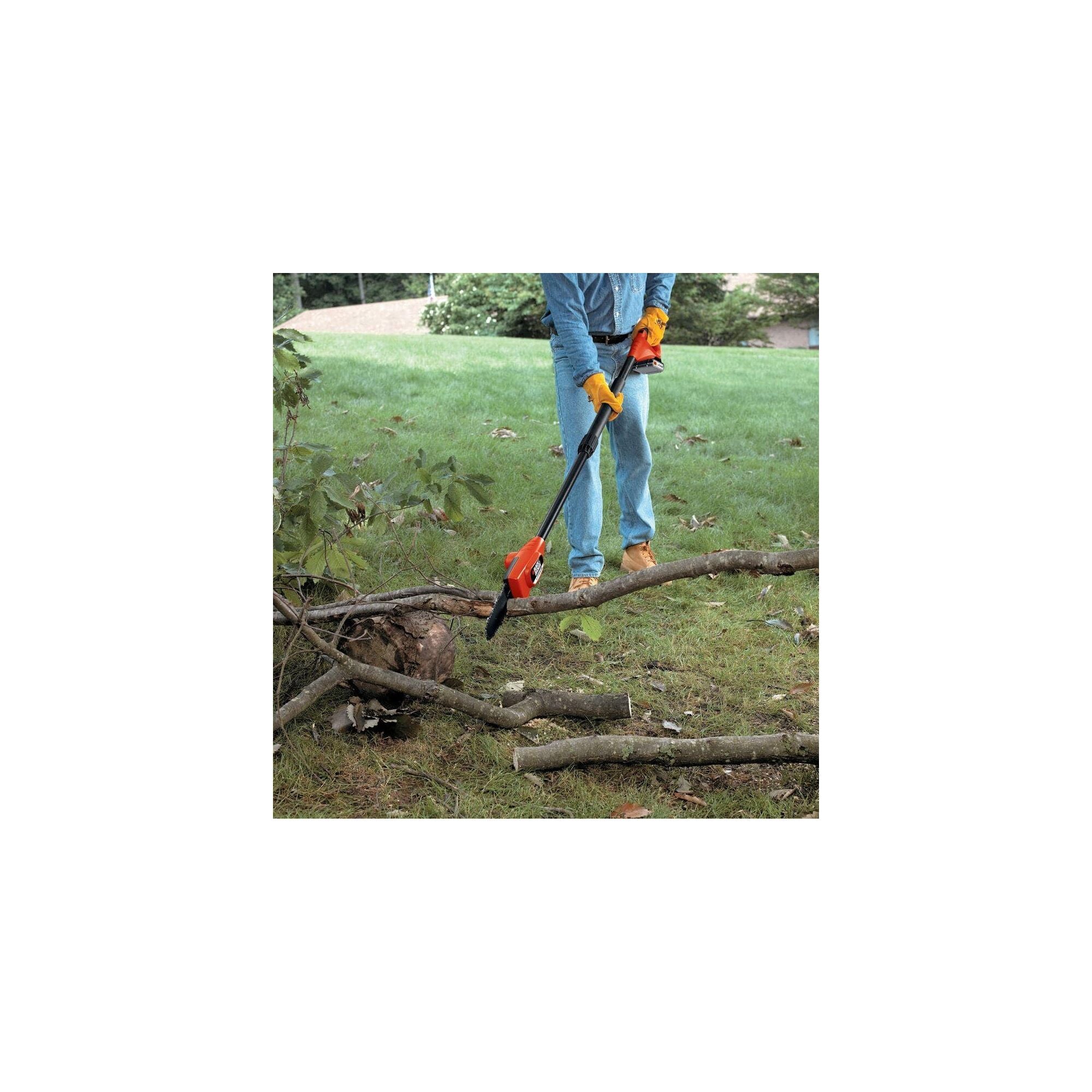 20V MAX* Pole Saw, 8-Inch, Tool Only