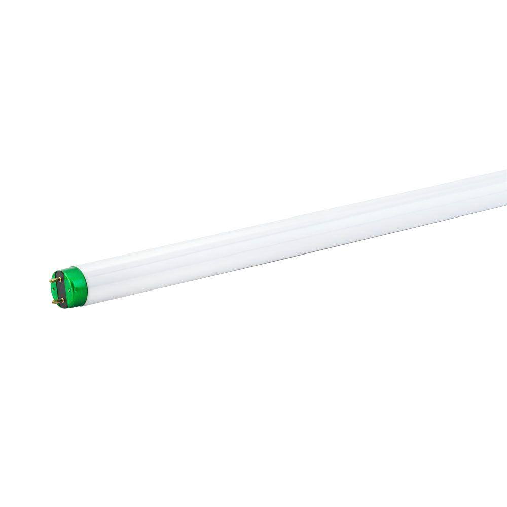 Philips 32-Watt 4 ft. Linear T8 Fluorescent Tube Light Bulb Cool White (4100k) (30-Pack) 281790