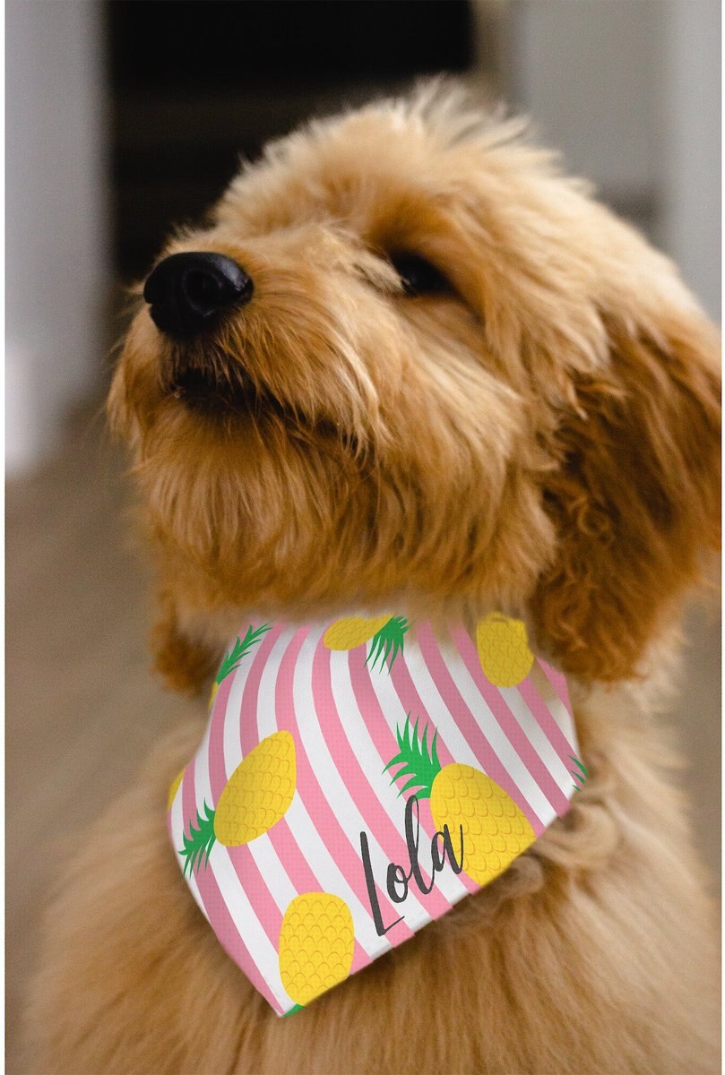 904 Custom Cabana Stripe Personalized Dog Collar Bandana