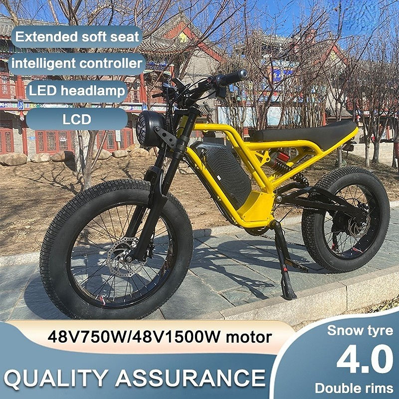 USA hot wholesale new retro 1500W 48V e bike fat 20 inch electric vintage bicycle dual suspension 18AH/41AH opt. city cycle men