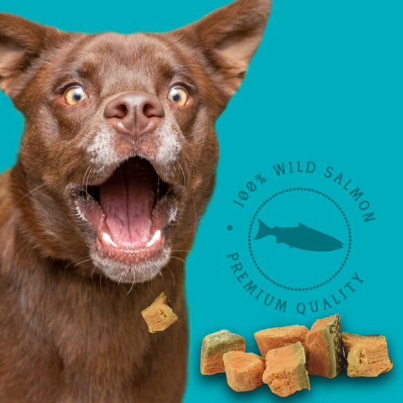 Stewart Wild Salmon Freeze-Dried Dog Treats