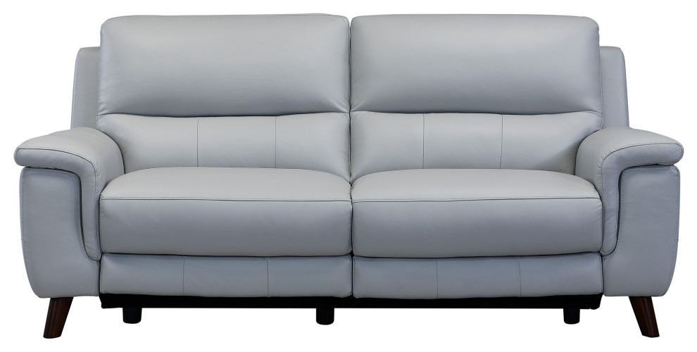 Lizette Contemporary Sofa  Dark Brown Wood Finish  ampDove Gray Genuine Leather   Midcentury   Sofas   by HedgeApple  Houzz